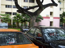jalan-rajah photo thumbnail #4